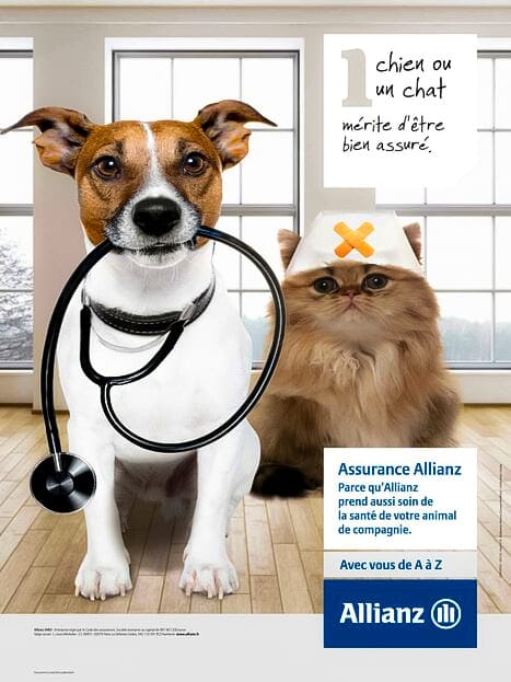 Allianz est une des meilleures assurances animaux