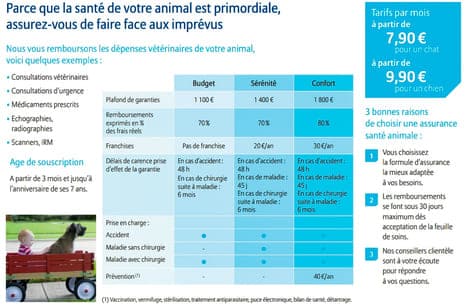 Allianz tableau de remboursement d'une des meilleures assurances pour animaux